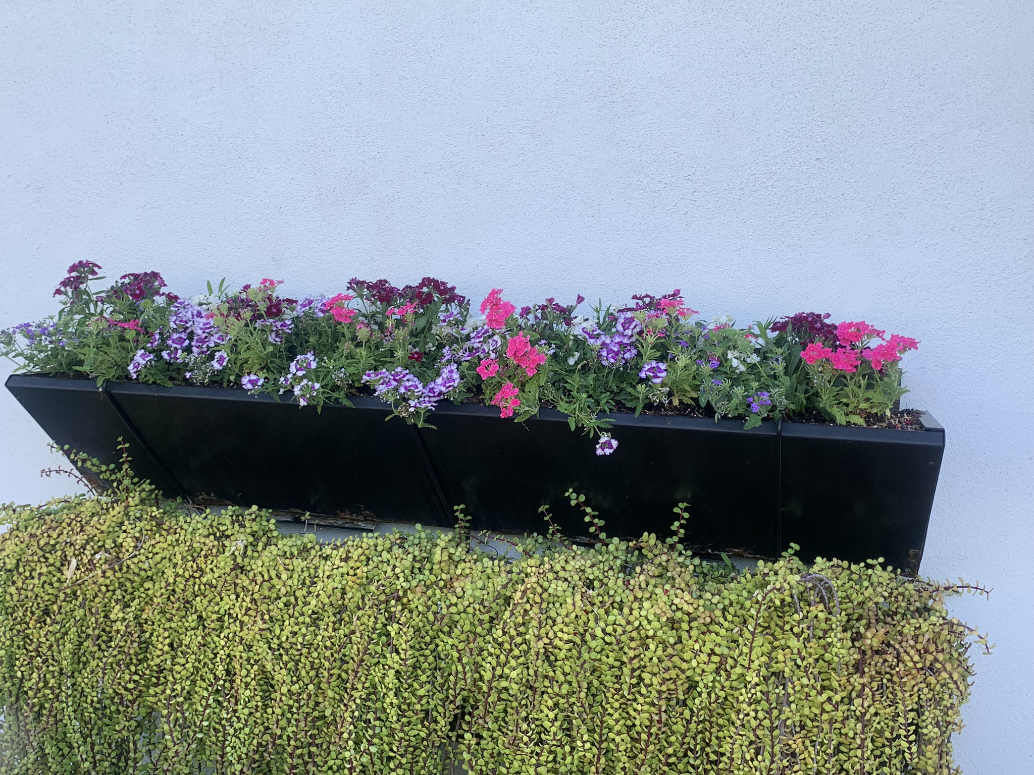 floral-arrangement